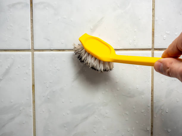 Best White Mold Remediation in Peekskill, NY