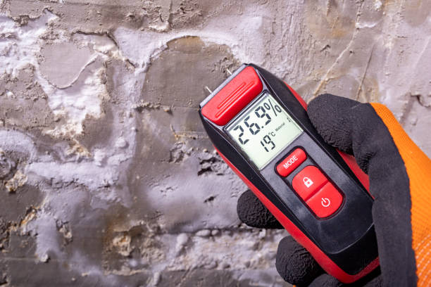 Best Emergency Mold Remediation in Peekskill, NY