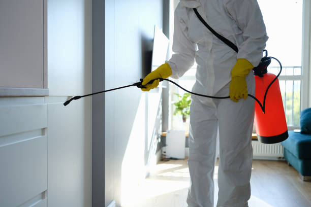 Best Industrial Mold Remediation in Peekskill, NY