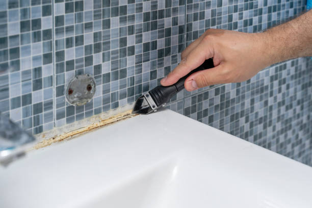Best Black Mold Remediation in Peekskill, NY